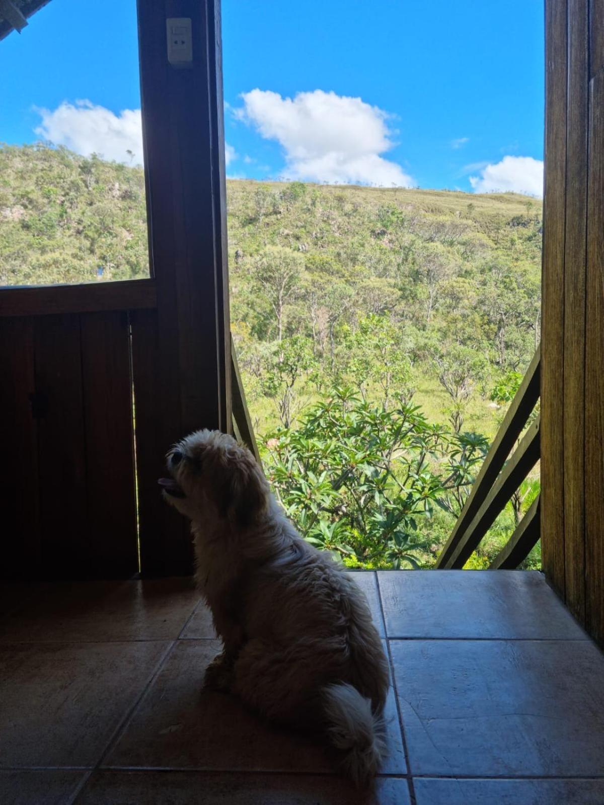 Cachoeira E Pousada Paraiso Dos Pandavas Alto Paraíso de Goiás Εξωτερικό φωτογραφία